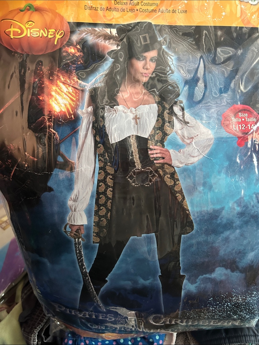 Disney Black, White and Gold Pirate Costume